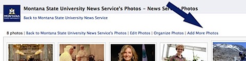 add more photos link.jpg