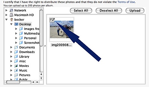 checkbox on photo.jpg