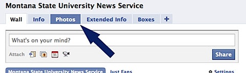 page with photo link highlighted.jpg
