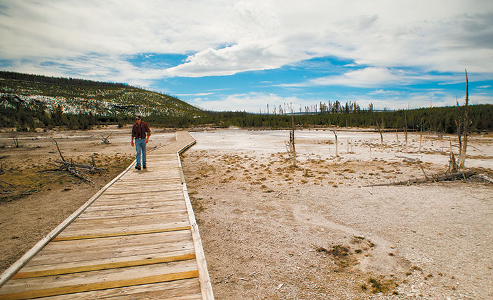 Norris Geyser Basin in Yellowstone